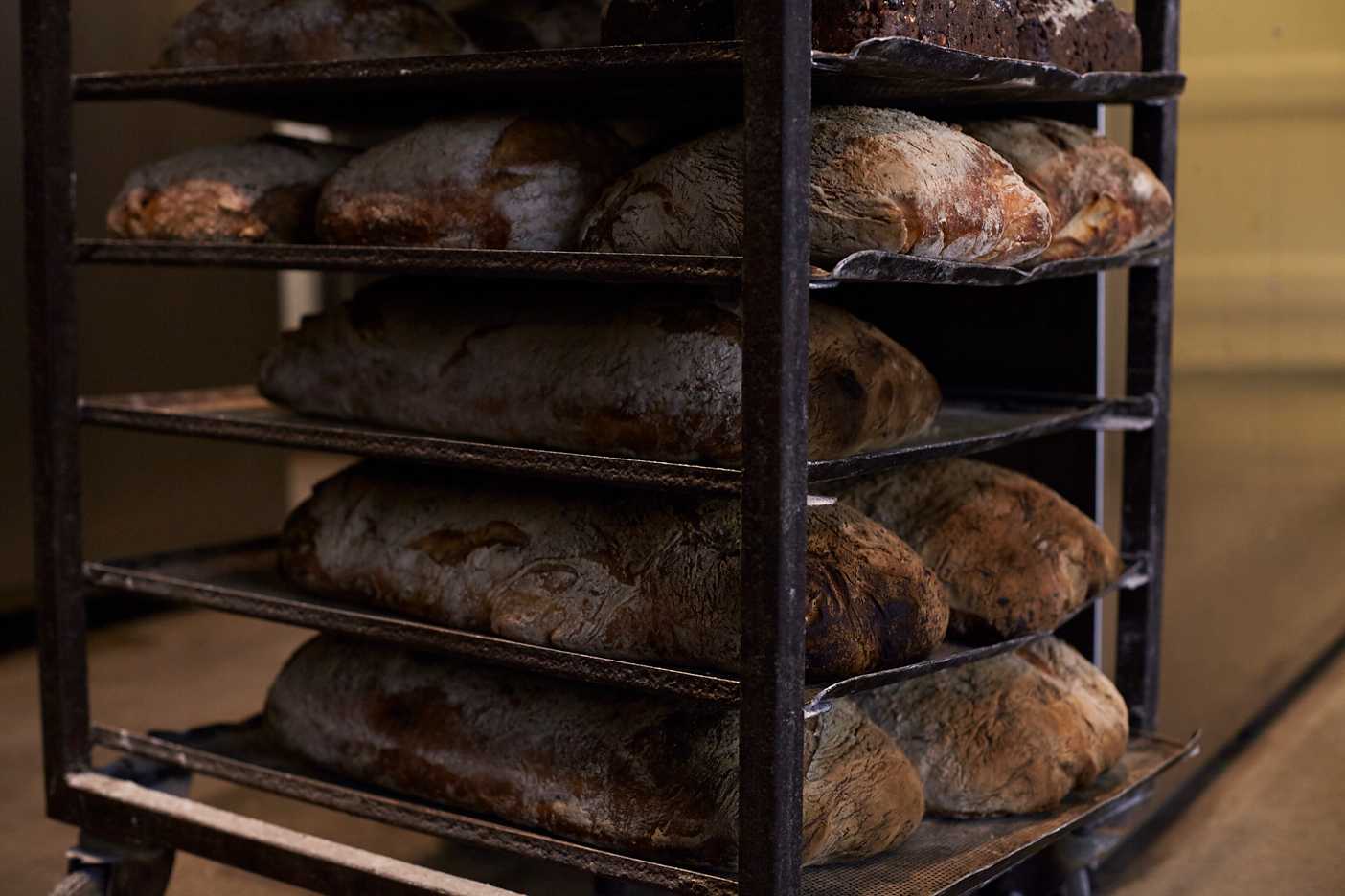 Fresh bread